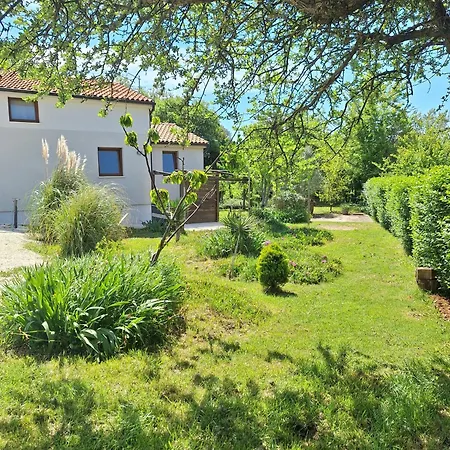 House Palera 2022 * Ližnjan